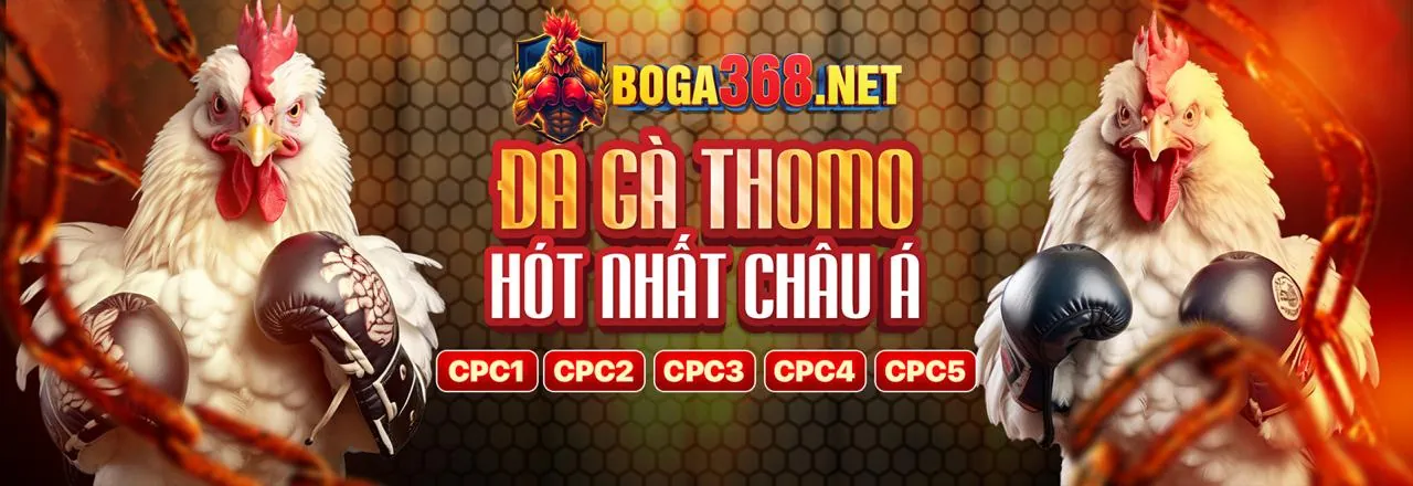Tham gia King Poker để chiến thắng