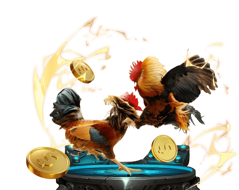 Quản lý vốn poker